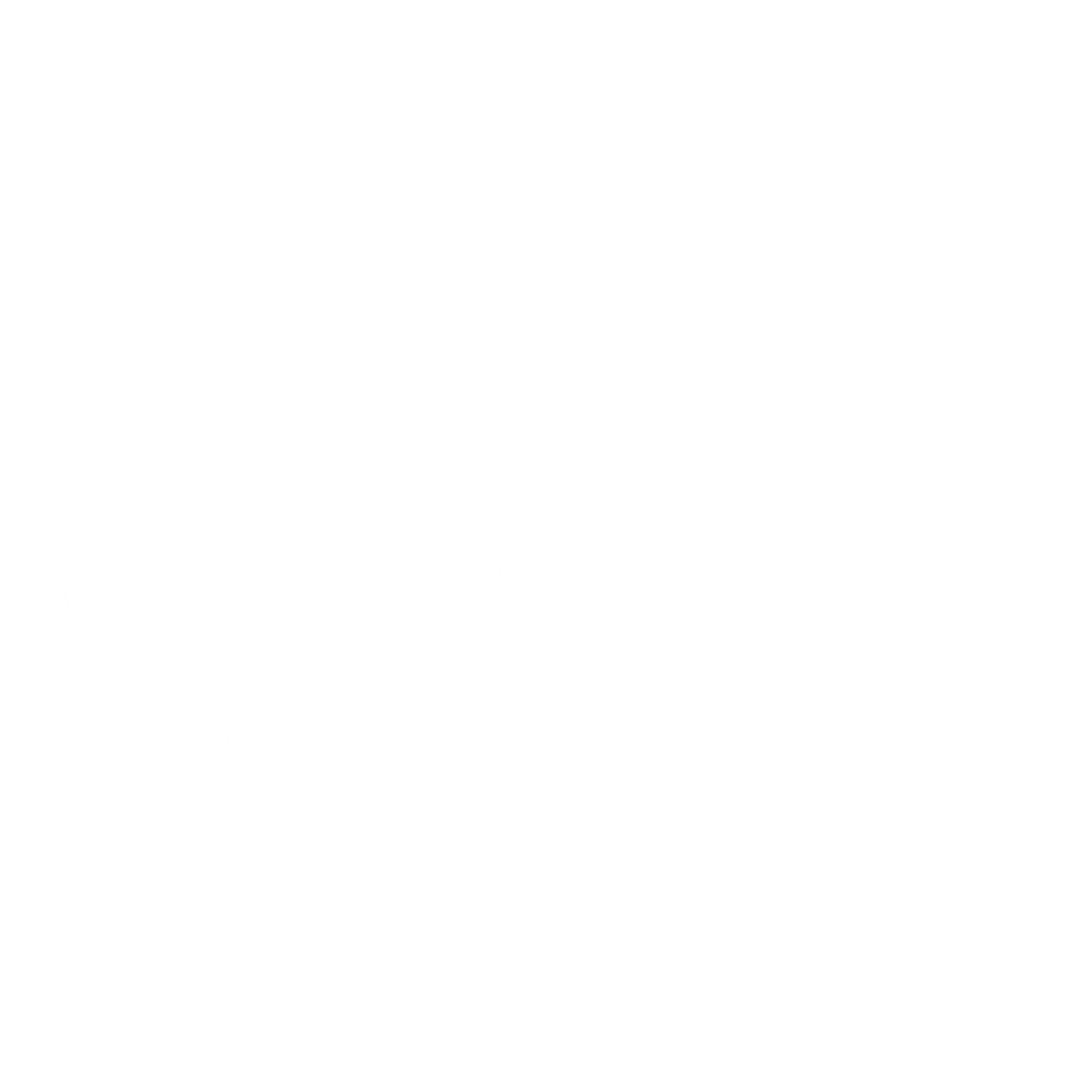 SV Sneakers Logo